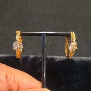 Elegant Gold and Silver Hoop Earrings